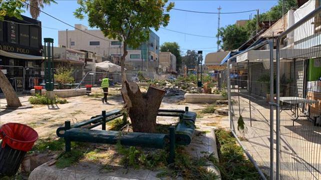 עצים כרותים ברחוב קק"ל בבאר שבע