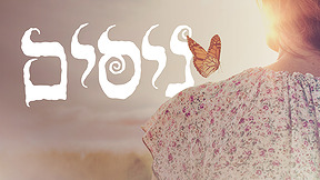 ניסים - פרפר על כתף