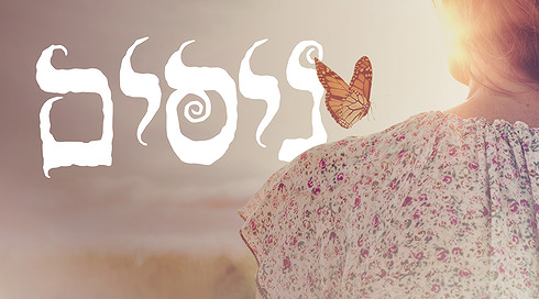 ניסים - פרפר על כתף