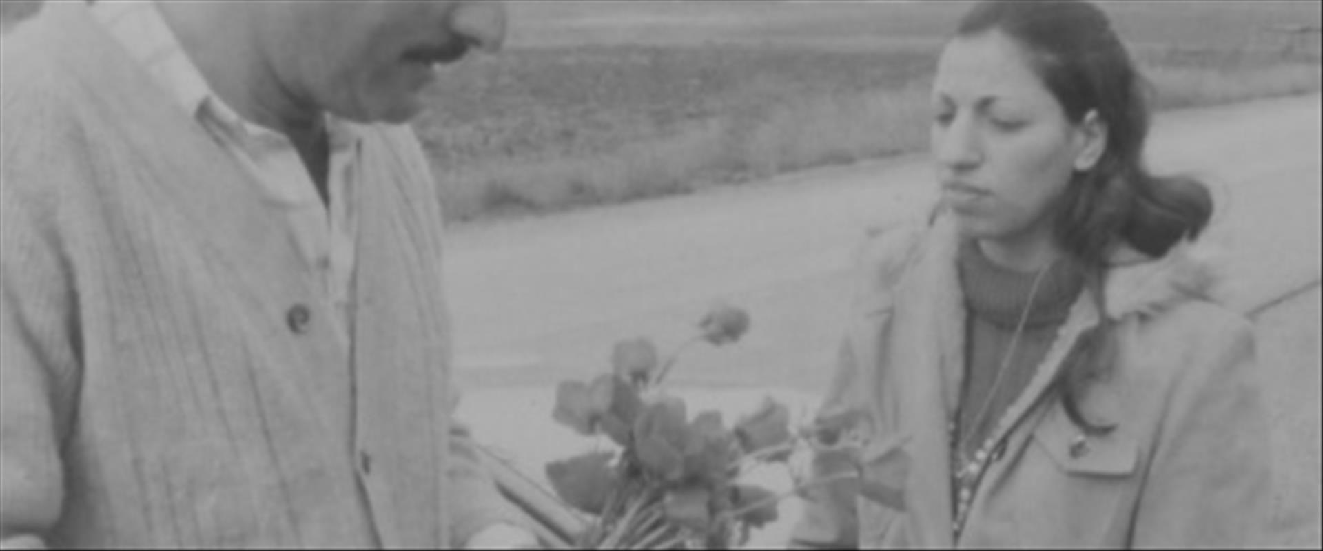 קטיפת פרחי בר בישראל, 1976
