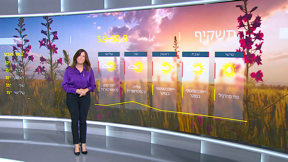 התחזית 29.08.24