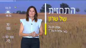 התחזית
