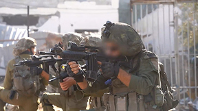 לחימה בצל מגעים להפוגה