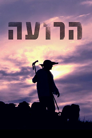 הרועה