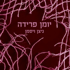כריכת הספר "יומן פרידה" ניצן ויסמן