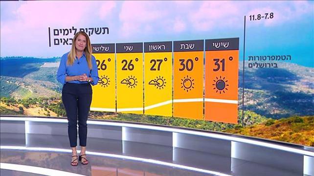 תחזית