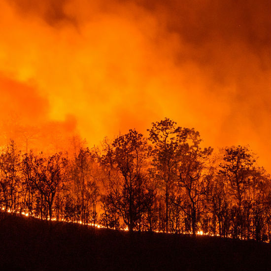 Columna de Tecnología: Celulares predicen incendios