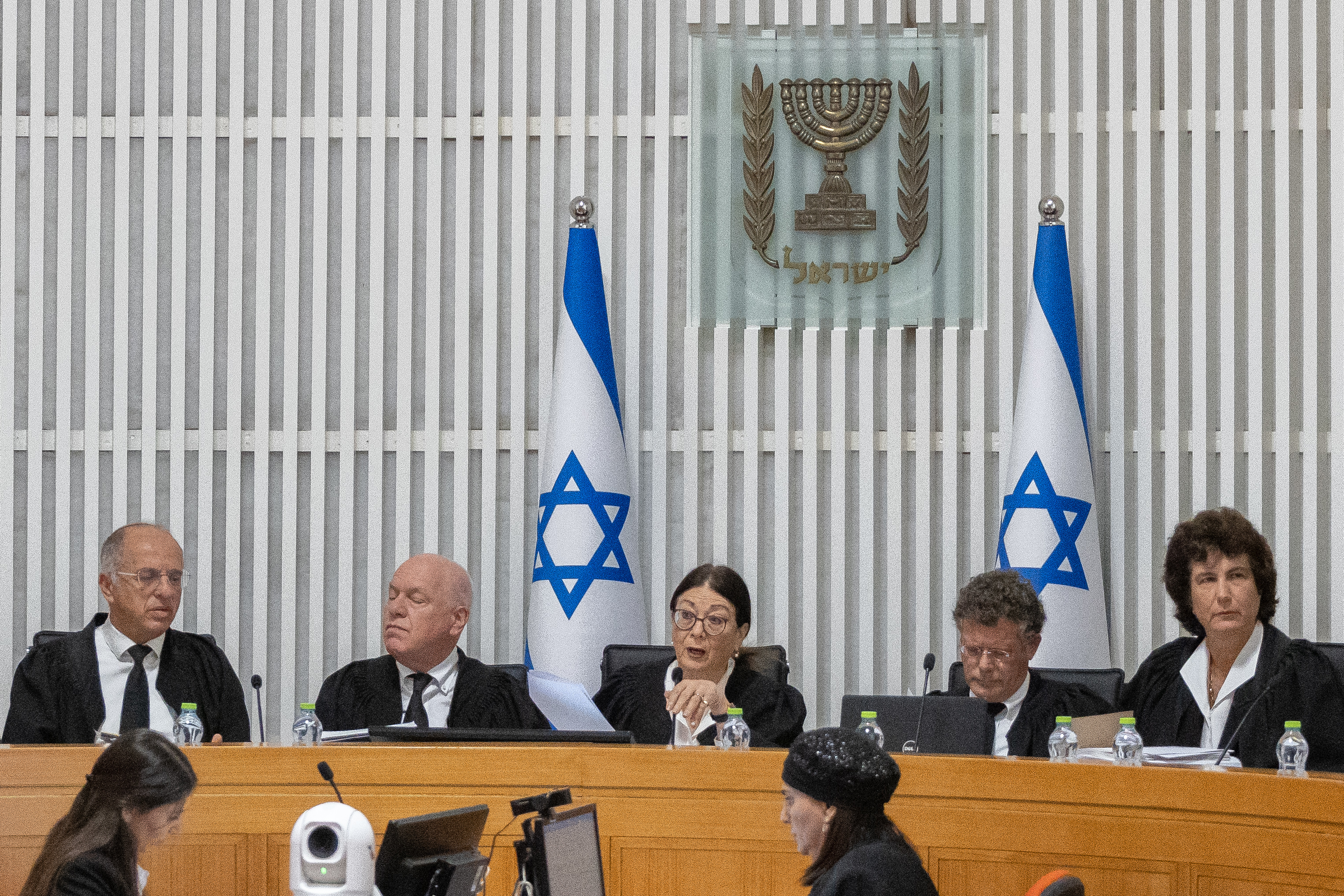 שופטי העליון בבג"ץ עילת הסבירות