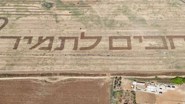 שדה חרוש עם כתובת להשבת תמיר נמרודי