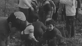 טקס-נטיעות-במטולה.jpg