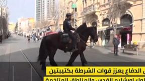 النشرة