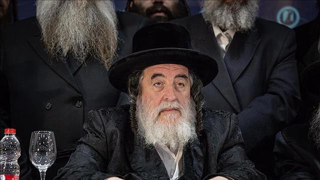 הרב ישראל הגר, האדמו"ר מוויז'ניץ