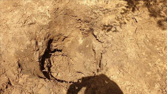 הבור שבו נמצא הנער בן ה-15 בחצר בית בחולון ונפצע אנושות, 14.05.20