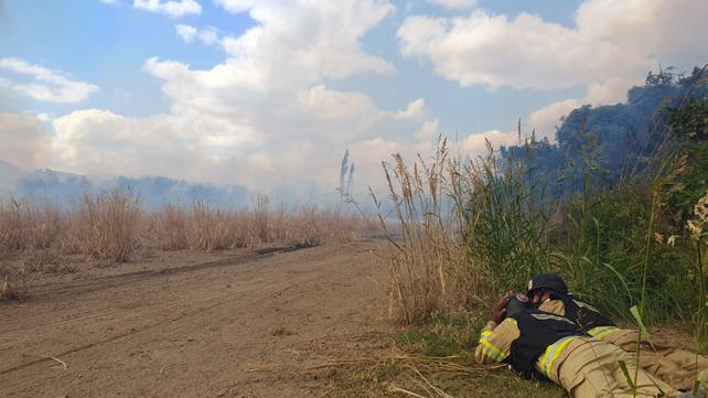 שריפה שפרצה בשטח פתוח באזור הגושרים עקב נפילה 
