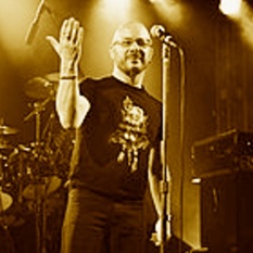 cat31132_img189863946.jpg
