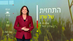 תחזית