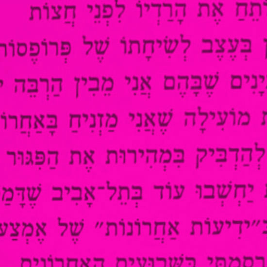 התוכנית להצלת מדעי הרוח