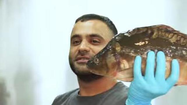 משאל רחוב ראש השנה
