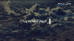 النشرة المسائية 