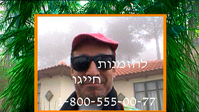 צימרים | פרק 12 - הארי למה חלק א'