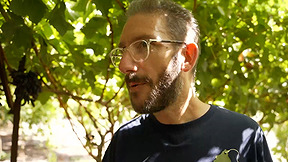 שאול אמסטרדמסקי בעקבות שחקן הענק שמייקר לנו את הענבים