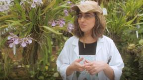 המעבדה | העש - סיפור על תאורה וחושך