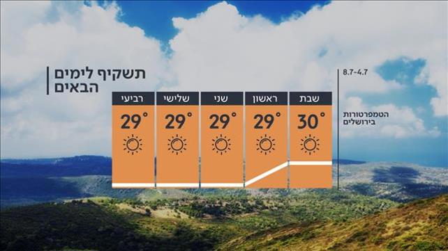 תחזית