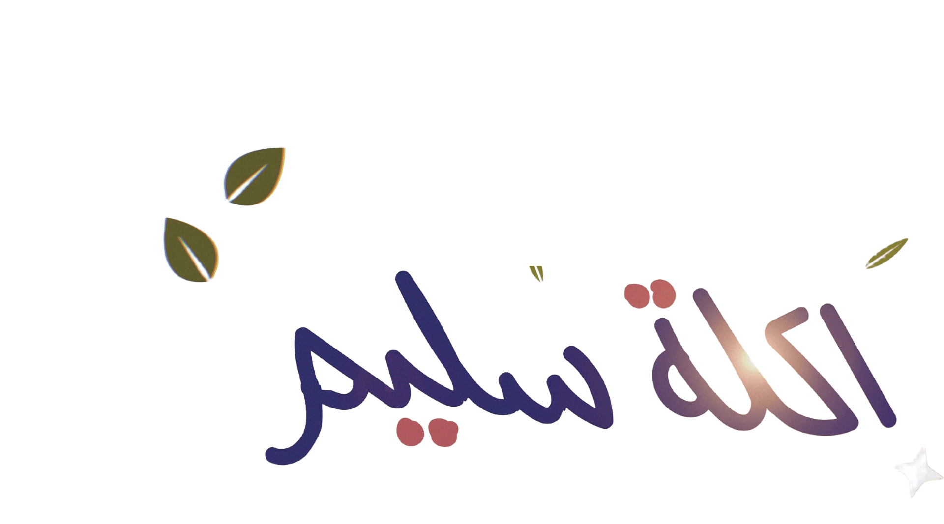 اكلة سليم لوجو