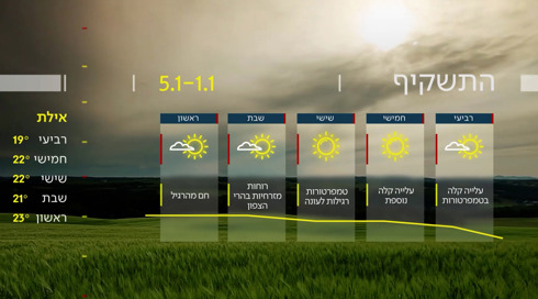 התחזית 31.12.24