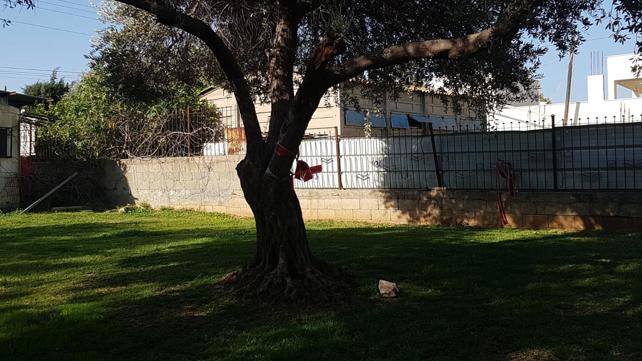 זירת ניסיון רצח ביבנה