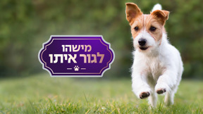 מישהו לגור איתו