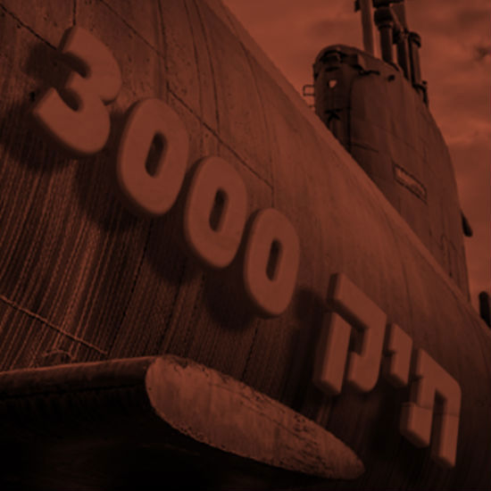 תיק 3000