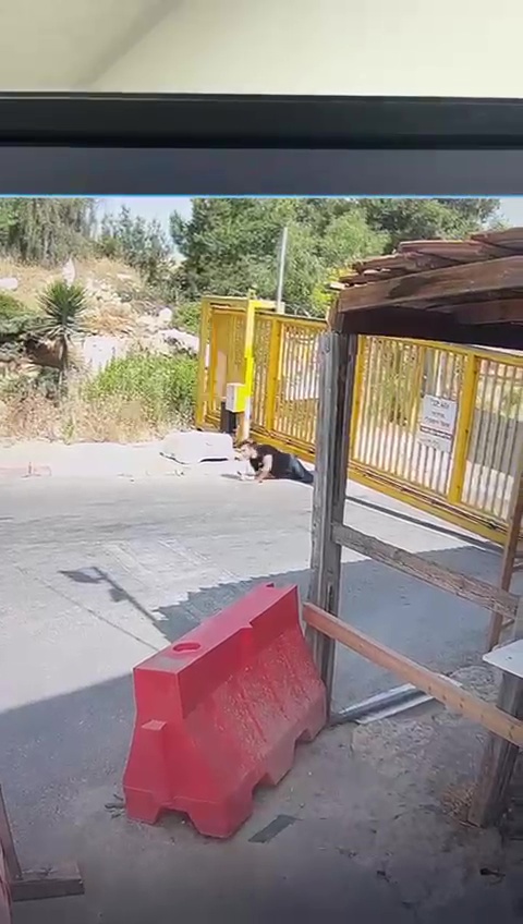 מחבל