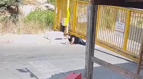 בזמן תפילת שחרית של שבועות: מחבל נוטרל בכניסה לבית כנסת ביישוב בהר חברון