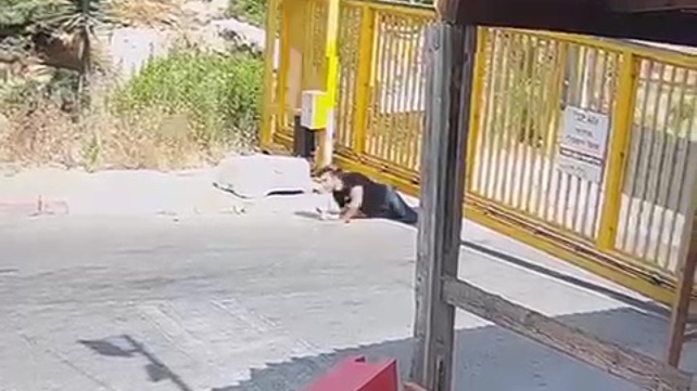 מחבל