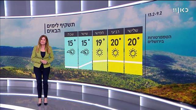 התחזית