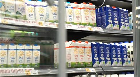 בשורה לטבעונים: חברה ישראלית תייצר חלב אמיתי שאינו מן החי