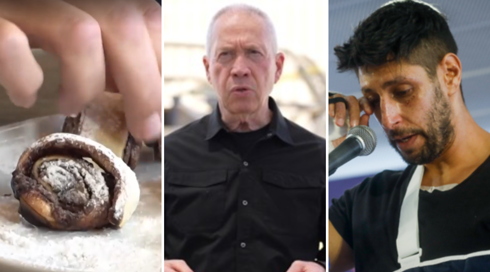 עידן עמדי, פיטורי גלנט ורוזלך: ישראל 2024 לפי חיפושי גוגל