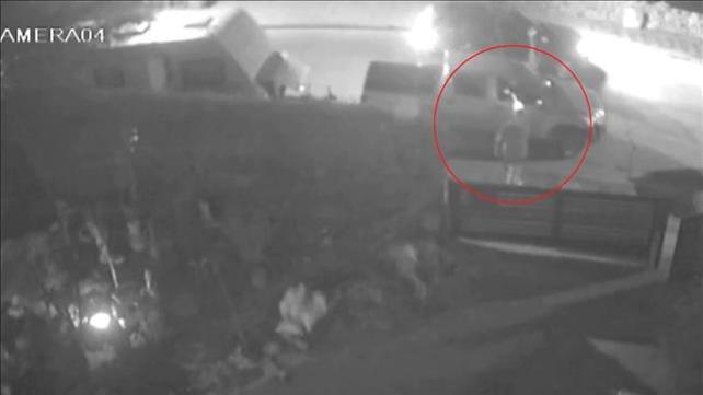 תיעוד: אריה שיף יורה בגנב שפרץ לרכבו ליד הקרוואן שבו לן. 14.01.21