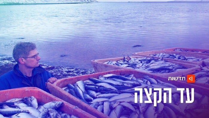 היו שלום ואל תיגעו לנו בדגים: איסלנד אומרת לא לאיחוד