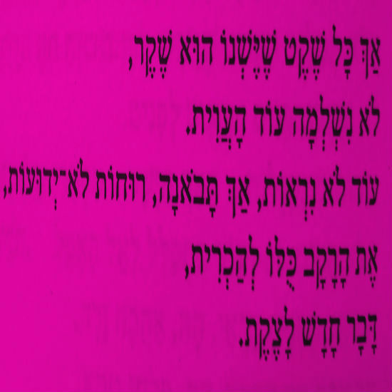 כל שקט הוא שקר