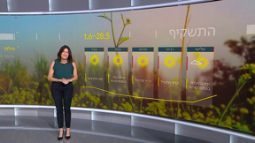 התחזית 27.05.24