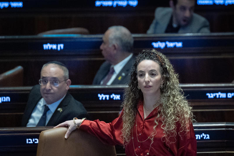 השרה להגנת הסביבה עידית סילמן, פברואר 2025