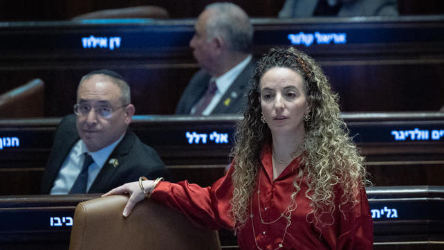השרה להגנת הסביבה עידית סילמן, פברואר 2025