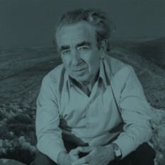פנחס שדה