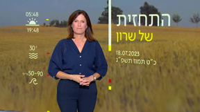 התחזית