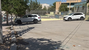 النشرة 