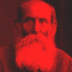 cat21761_img533710589.jpg
