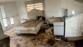 עם וי באצבעות ודגלים צהובים: הלבנונים חגגו את הפסקת האש