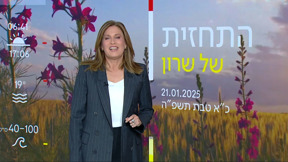 התחזית (17)